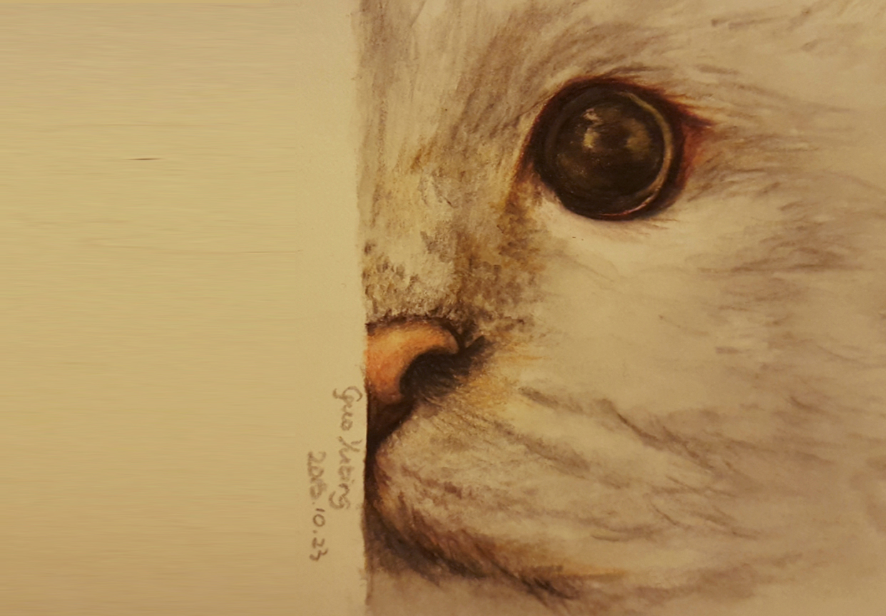 我可以为你绘制清新唯美插画